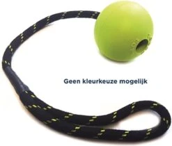 Satisfyer Happy Pet Floater Jumbo Bal - Aan Touw - Apporteren - 39 Cm -Hondenproducten 1200x1021 6