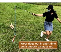 CF Pack - Hond Buitenspeelgoed Actief Behendigheid Touw Dog Flirt Pole Flirtpole Toy Tug Tease Wand Non-Bungee Cord Dog Toy For Fun Obedience Training Extandable Toy Honden Speelgoed Hondenspeelgoed Behendigheidspeelgoed -Hondenproducten 1200x1026 7