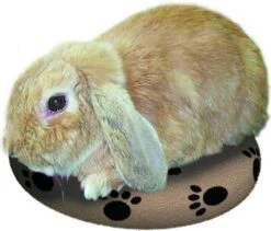 Snugglesafe Warmteschijf Hond/Kat - 24 Cm 8 Snugglesafe Warmteschijf Hond/Kat - 24 Cm -Hondenproducten 1200x1026 8