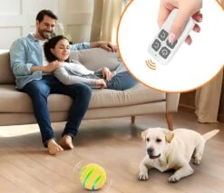 Good Experience Interactieve Hondenbal 3.0 – Honden Speelgoed Intelligentie – Puppy Speelgoed – Hondenspeeltjes – De Enige Die Werkt Met Afstandsbediening – De Veilige Bal Voor Jouw Hond – One Size – Oranje -Hondenproducten 1200x1034 3