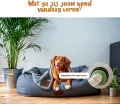 Praatknop Hond – Set Van 4 - Honden Speelgoed – Honden Training – Dogbuttons – Huisdier – Puppy Training - Hondenspeelgoed Intelligentie - Hond Opvoeden -Hondenproducten 1200x1036 4