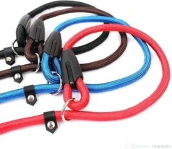 Merkloos Nylon Trainingslijn Voor Honden - Hondenriem - Blauw - Tot 5 Kg -Hondenproducten 1200x1038 1