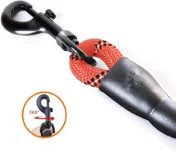 Comfortabele Hondenriem Met Gevoerd Handvat – Stevige Nylon Hondenlijn – Riem Voor Honden -Hondenproducten 1200x1040 1