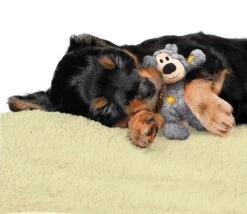 Kong Wild Knots Beer - Hondenspeelgoed - Assorti - M - 25 X 20 X 10 Cm 20 Kong Wild Knots Beer - Hondenspeelgoed - Assorti - M - 25 X 20 X 10 Cm -Hondenproducten 1200x1042 3