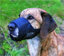 Trixie Muilkorf Polyester Met Gaas Inzet Zwart (M 19-26 CM) -Hondenproducten 1200x1047 2