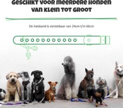 Anti Blafband Met Afstandsbediening - Blafband Voor Honden - Anti Blaf Apparaat Zonder Schok - Twee In Een Trainingshalsband -Hondenproducten 1200x1055