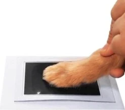 Merkloos Paw Print Pad - Pootafdruk Maken Van Hond Of Kat -Hondenproducten 1200x1060 2