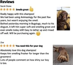 Bugalugs - Hondenshampoo - One In A Million - Alle Vachttypes - Fles Met Pompje - Vegan - 500 Ml 22 Bugalugs - Hondenshampoo - One In A Million - Alle Vachttypes - Fles Met Pompje - Vegan - 500 Ml -Hondenproducten 1200x1061 2