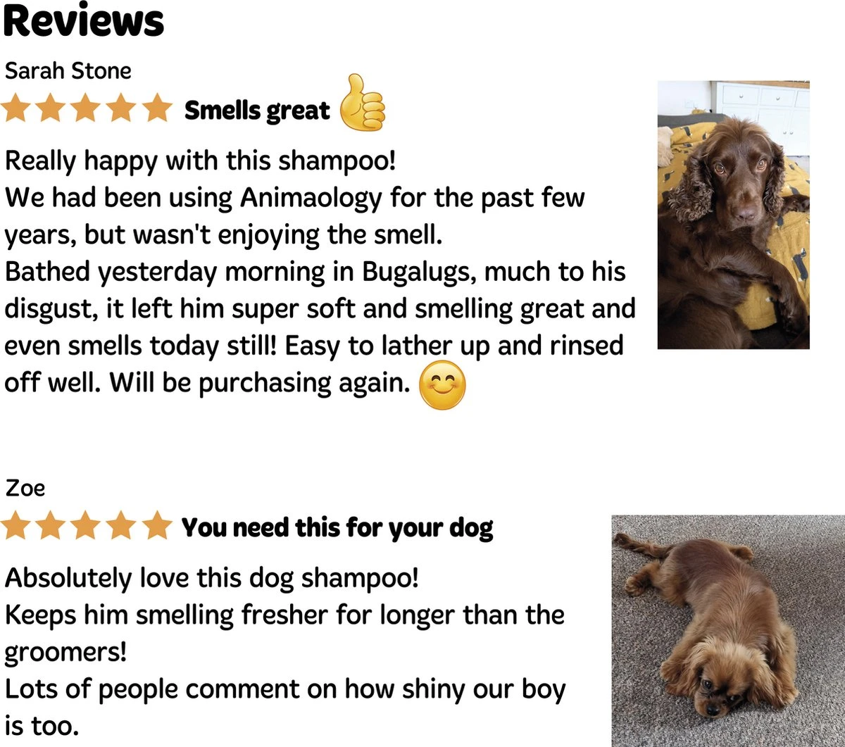 Bugalugs - Hondenshampoo - One In A Million - Alle Vachttypes - Fles Met Pompje - Vegan - 500 Ml 11 Bugalugs - Hondenshampoo - One In A Million - Alle Vachttypes - Fles Met Pompje - Vegan - 500 Ml - Afbeelding 9