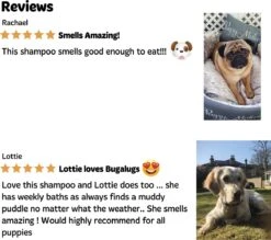 Bugalugs - Hondenshampoo - One In A Million - Alle Vachttypes - Fles Met Pompje - Vegan - 500 Ml 19 Bugalugs - Hondenshampoo - One In A Million - Alle Vachttypes - Fles Met Pompje - Vegan - 500 Ml -Hondenproducten 1200x1066