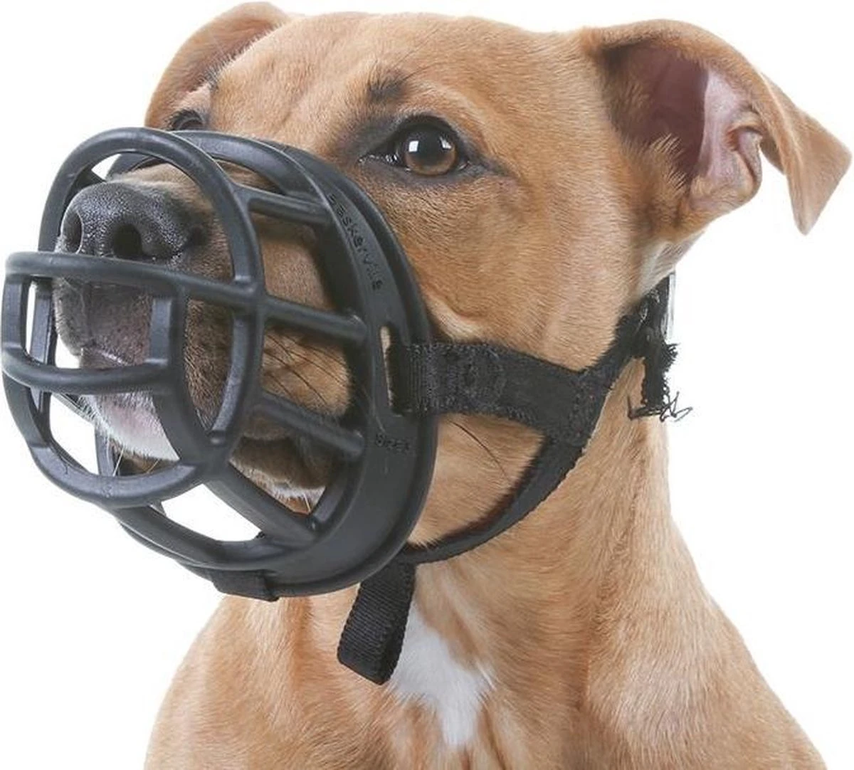 Company Of Animals Baskerville Ultra Muzzle - Muilkorf - Maat 3 (M) - Zwart 11 Company Of Animals Baskerville Ultra Muzzle - Muilkorf - Maat 3 (M) - Zwart - Afbeelding 9