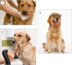 Waterblazer Hond - Hondendroger -Hondenproducten 1200x1083 1