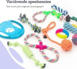 All 4 Pets Supply® Honden Speelgoed Set Geschikt Voor Puppy's T/m Middelgrote Honden - 12 Stuks - Hondenspeeltjes - Intelligentie - Touw - Flostouw - Bijtring - Bal -Hondenproducten 1200x1086 2