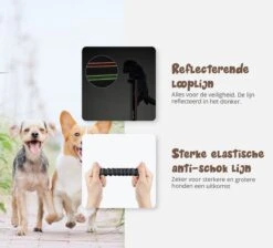 Hardloopriem Hond – Honden Riem Handsfree – Hardlopen Met Hond – 160-260 Cm Groen- Hardloopband Hond – Halsband Hond – Hondenlijn – Leiband Hond -Hondenproducten 1200x1087 1