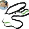Hardloopriem Hond – Honden Riem Handsfree – Hardlopen Met Hond – 160-260 Cm Groen- Hardloopband Hond – Halsband Hond – Hondenlijn – Leiband Hond 1 Hardloopriem Hond – Honden Riem Handsfree – Hardlopen Met Hond – 160-260 Cm Groen- Hardloopband Hond – Halsband Hond – Hondenlijn – Leiband Hond -Hondenproducten 1200x1087