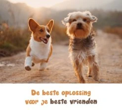 Dubbele Honden Riem – Leiband Hond – Hondenlijn – Looplijn Hond – 2 Honden – 3 Meter – Tot 12kg Per Hond – Reflecterende Lijnen – Met Zaklamp – 360° Draaien – Verstelbaar - Navy Blauw -Hondenproducten 1200x1087 6