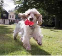 Kong Kauwbot - Hondenspeelgoed - Rood - M -Hondenproducten 1200x1092 5