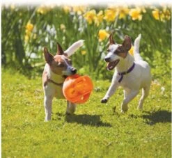 Kong Jumbler Ball - Assorti - M/L - Hondenspeelgoed - Ø14 Cm -Hondenproducten 1200x1102 4