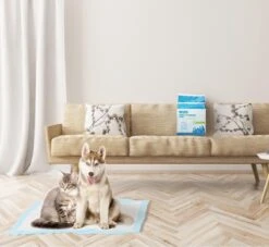 Nobleza 48DHD - Puppy Training Pads - 60 X 40 Cm - Zindelijkheidstraining - 50 Stuks 12 Nobleza 48DHD - Puppy Training Pads - 60 X 40 Cm - Zindelijkheidstraining - 50 Stuks -Hondenproducten 1200x1105 2