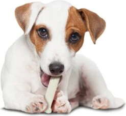 Nylabone Harde Bijters Kluif - Kip - Voor Honden Tot 30 Kg -Hondenproducten 1200x1107 6