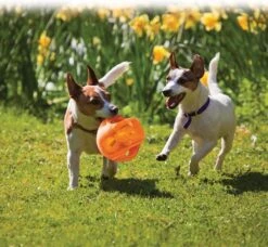 Kong Jumbler Ball - Assorti - M/L - Hondenspeelgoed - Ø14 Cm -Hondenproducten 1200x1108 4