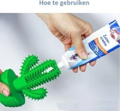 Tandenborstel + TANDPASTA Hond Melk Geur Smaak En Piep Honden Speelgoed - Cactus Dog Toy Tandverzorging Kauwbotten Hondenspeelgoed Hondenbot Kauwstaaf Tanden Puppy Hondenspeeltje Sterk Kauwspeelgoed - Dutchwide 21 Tandenborstel + TANDPASTA Hond Melk Geur Smaak En Piep Honden Speelgoed - Cactus Dog Toy Tandverzorging Kauwbotten Hondenspeelgoed Hondenbot Kauwstaaf Tanden Puppy Hondenspeeltje Sterk Kauwspeelgoed - Dutchwide -Hondenproducten 1200x1113 5