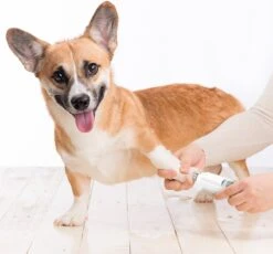 Auronic Elektrische Nagelvijl - Voor Dieren - Oplaadbaar - Draadloos - Diamant Vijlkop - Hond/Katten - Wit -Hondenproducten 1200x1115 1