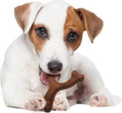 Nylabone Extreme Kauwbot Vorkbeen - Voor De Krachtigste Kauwers - Bizon Of Kipsmaak - S/M/L - Smaak: Bizon, Maat: Large -Hondenproducten 1200x1117 5