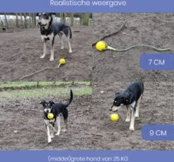 Leashr Honden Speelgoed - Bal Aan Touw - 2 Stuks - Touw - Koord - Kauwspeelgoed - Apporteer - Hond - 7 CM -Hondenproducten 1200x1119
