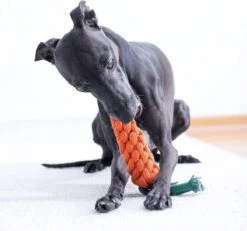 NufNuf - Hondenspeelgoed - Wortel - Stevig En Duurzaam Designspeelgoed -Hondenproducten 1200x1120 8