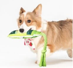 Merkloos Hondenspeelgoed - Piepspeelgoed - Trekspeeltje - Chocobruin -Hondenproducten 1200x1127 2