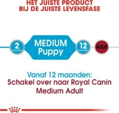 Royal Canin Shn Medium Puppy Pouch - Hondenvoer - 10 X 140 G 30 Royal Canin Shn Medium Puppy Pouch - Hondenvoer - 10 X 140 G -Hondenproducten 1200x1135 10