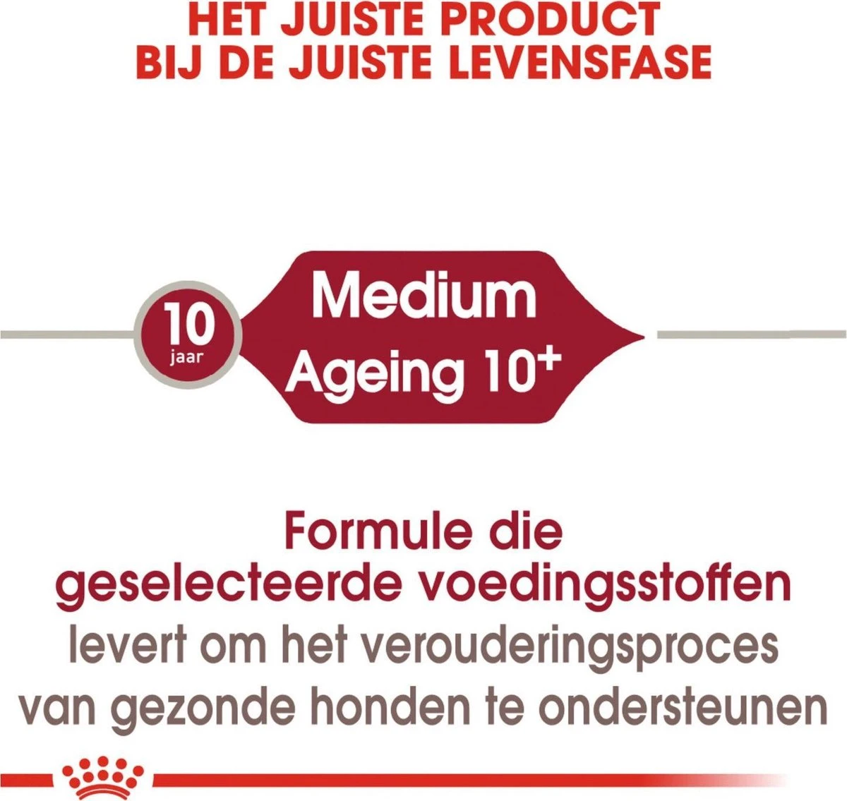 Royal Canin Medium Ageing 10+ - Hondenvoer - 15 Kg 7 Royal Canin Medium Ageing 10+ - Hondenvoer - 15 Kg - Afbeelding 5