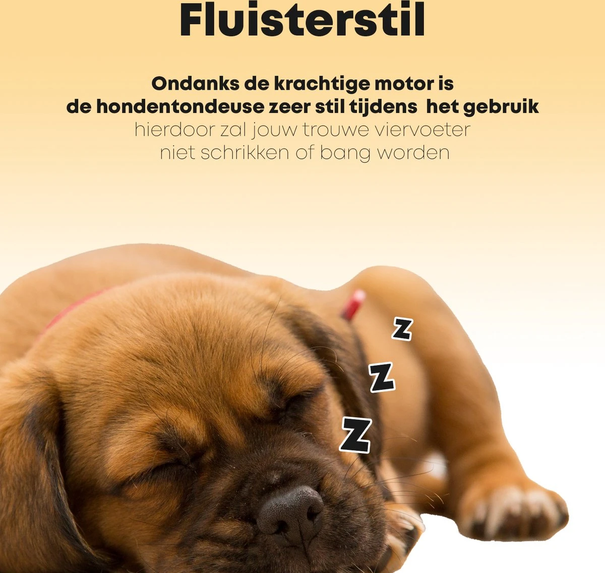 Hondentondeuse Professioneel - 2 In 1 - Honden & Katten - Hondentrimmer - Dikke & Dunne Vacht 6 Hondentondeuse Professioneel - 2 In 1 - Honden & Katten - Hondentrimmer - Dikke & Dunne Vacht - Afbeelding 4
