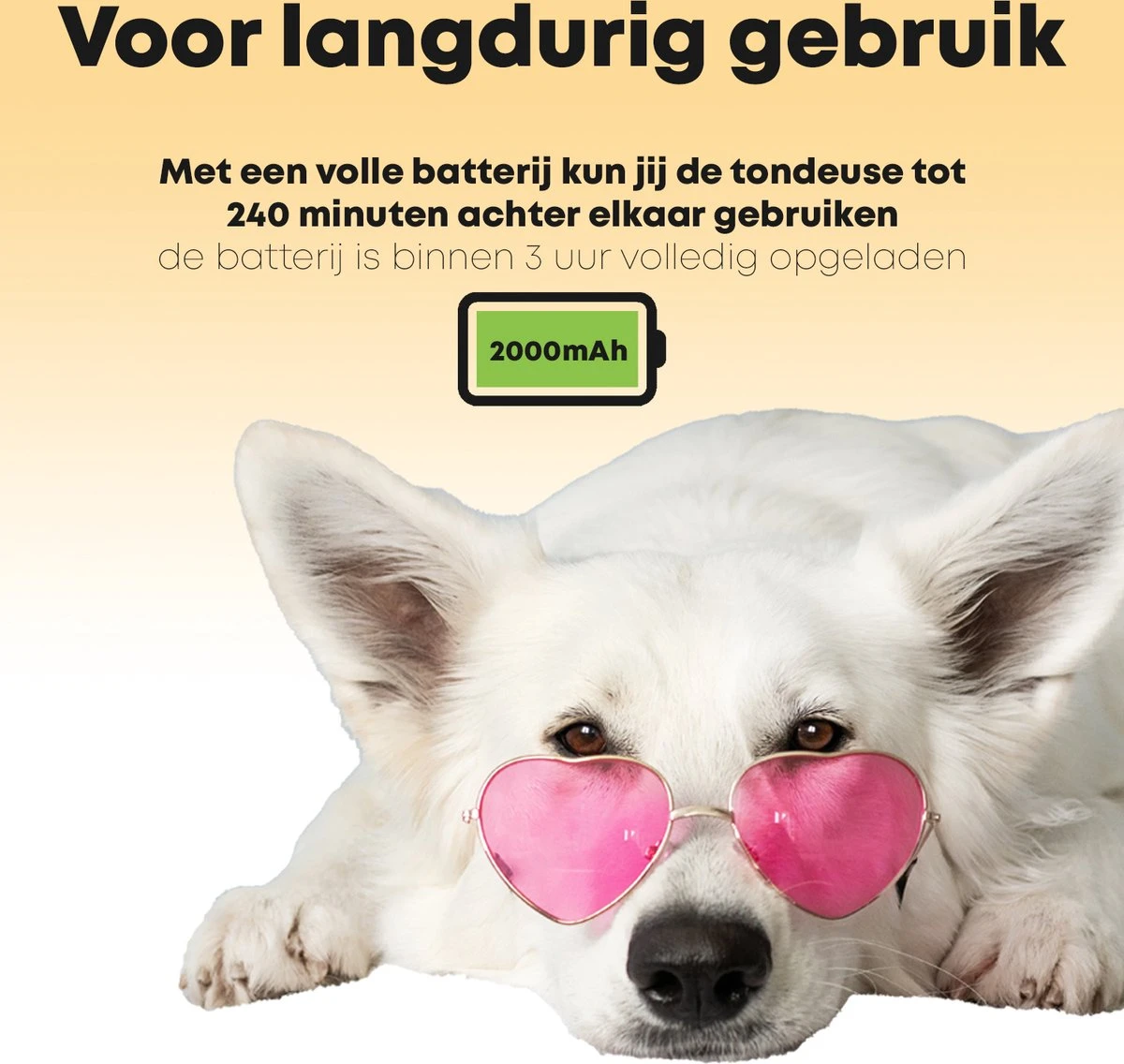 Hondentondeuse Professioneel - 2 In 1 - Honden & Katten - Hondentrimmer - Dikke & Dunne Vacht 7 Hondentondeuse Professioneel - 2 In 1 - Honden & Katten - Hondentrimmer - Dikke & Dunne Vacht - Afbeelding 5