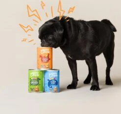 Edgard & Cooper Lam & Rund Blik - Voor Volwassen Honden - Hondenvoer - 12 X 400g -Hondenproducten 1200x1138 3