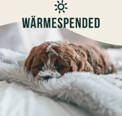 Happilax Fluffy Hondendeken Voor Auto & Bank, Wasbare Hondenmat Voor Op Reis, Grijs, L 12 Happilax Fluffy Hondendeken Voor Auto & Bank, Wasbare Hondenmat Voor Op Reis, Grijs, L -Hondenproducten 1200x1139 10