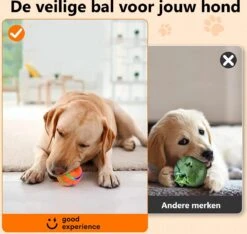 Good Experience Interactieve Hondenbal 3.0 – Honden Speelgoed Intelligentie – Puppy Speelgoed – Hondenspeeltjes – De Enige Die Werkt Met Afstandsbediening – De Veilige Bal Voor Jouw Hond – One Size – Oranje -Hondenproducten 1200x1139 6