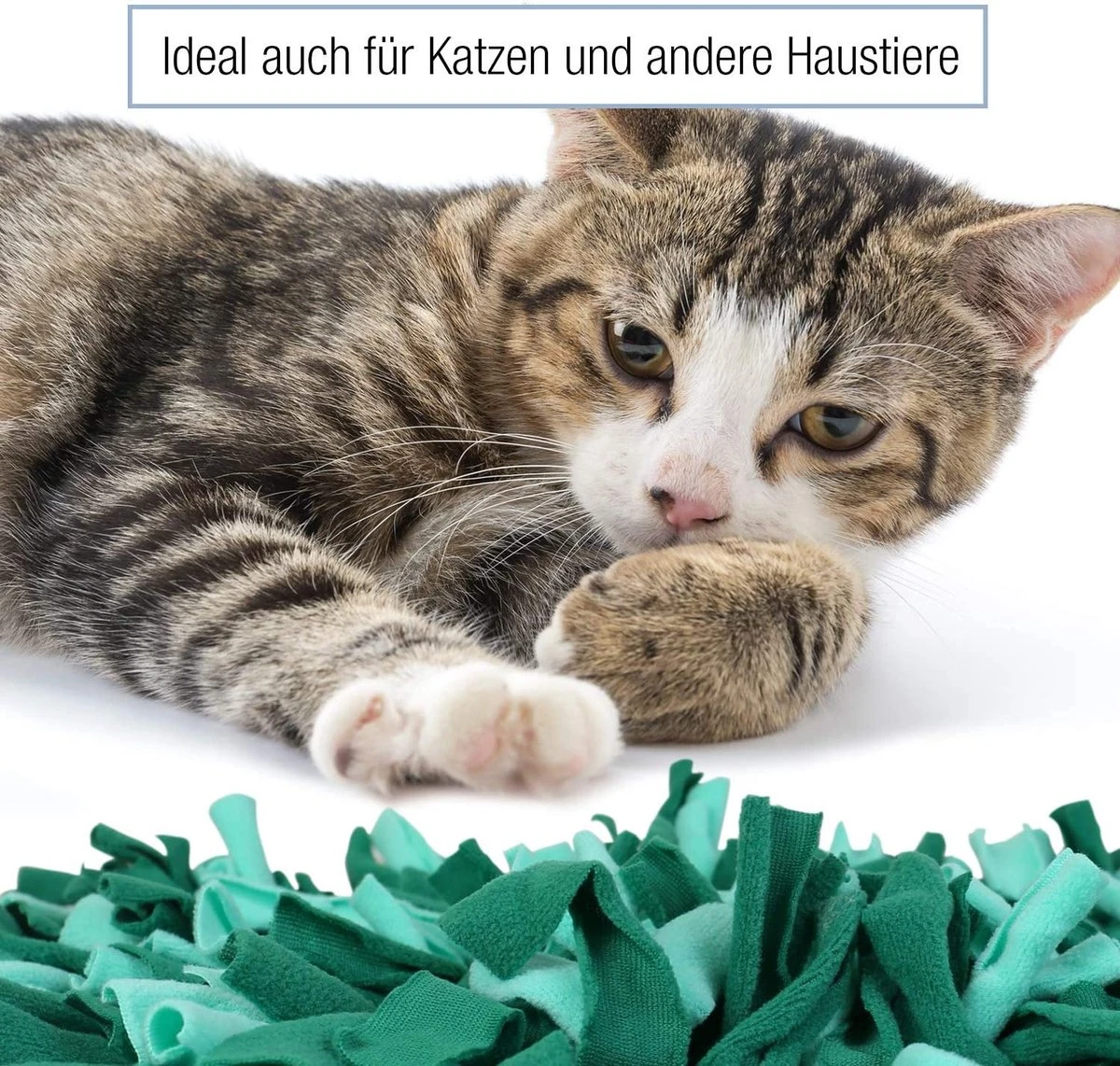 Bella & Balu Snuffelmat Voor Honden (45 X 30 Cm) - Het Snuffelmatten Dient Als Interactief Zoekspel, Bevordert Het Natuurlijk Zoeken Naar Voedsel En Traint De Reukzin Van Uw Hond (Groen) 6 Bella & Balu Snuffelmat Voor Honden (45 X 30 Cm) - Het Snuffelmatten Dient Als Interactief Zoekspel, Bevordert Het Natuurlijk Zoeken Naar Voedsel En Traint De Reukzin Van Uw Hond (Groen) - Afbeelding 4