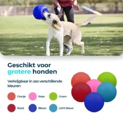 Jolly Pets Jolly Soccer Ball – Hondenspeelgoed – Hondenspeeltjes Voor Binnen En Buiten – Hondenbal Voor Honden – Hondenvoetbal – Jollyflex Stevig Kunststof – Drijvend Hondenspeeltje – Ø20cm – Licht Blauw -Hondenproducten 1200x1142 15