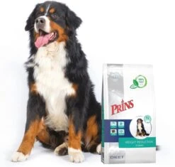 Prins Procare Croque Dieet Gewichtscontrole&Diabetes Gevogelte - - 10 Kg 12 Prins Procare Croque Dieet Gewichtscontrole&Diabetes Gevogelte - - 10 Kg -Hondenproducten 1200x1143 18