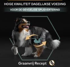 Pro Plan Graanvrij Medium & Large Adult Sensitive Digestion - Honden Droogvoer- Kalkoen - 12 Kg -Hondenproducten 1200x1146 13