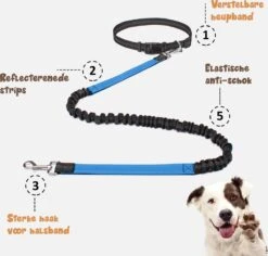 Hardloopriem Hond – Honden Riem Handsfree – Hardlopen Met Hond – 160-260 Cm Blauw - Hardloopband Hond – Halsband Hond – Hondenlijn – Leiband Hond -Hondenproducten 1200x1146