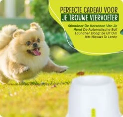 VEDIC® - Automatische Ballenwerper - Hondenspeelgoed - Ballenschieter Voor Honden -Hondenproducten 1200x1146 28