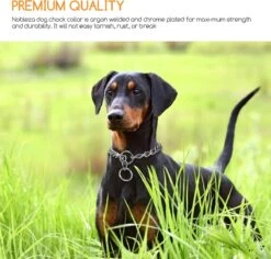 Nobleza Slipketting Hond - Sliphalsband - Trainingshalsband - Hondenketting - Maat L -Hondenproducten 1200x1146 6