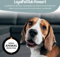 Loyalpetclub® Professionele 2-in-1 Hondentondeuse Voor Dikke Vacht – Draadloze Honden Tondeuse & Hondentrimmer – Stille Tondeuse Katten & Honden Trimset - Inclusief Opbergtasje -Hondenproducten 1200x1148