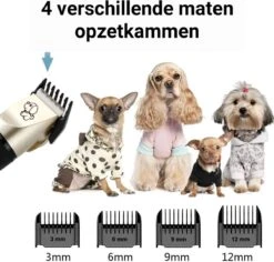 Merkloos Professionele Dierentondeuse - Scheerapparaat Voor Honden En Katten - Trimmer - 4 Opzetstukken - Oplaadbaar - Draadloos - Stil - Verschillende Haar En Vachtlengtes - Haartrimmer - Hondentrimmer - Honden Trimmer - Honden Knippen - Haren Knippen 17 Merkloos Professionele Dierentondeuse - Scheerapparaat Voor Honden En Katten - Trimmer - 4 Opzetstukken - Oplaadbaar - Draadloos - Stil - Verschillende Haar En Vachtlengtes - Haartrimmer - Hondentrimmer - Honden Trimmer - Honden Knippen - Haren Knippen -Hondenproducten 1200x1148 3