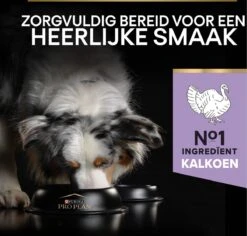 Pro Plan Graanvrij Medium & Large Adult Sensitive Digestion - Honden Droogvoer- Kalkoen - 12 Kg -Hondenproducten 1200x1148 9