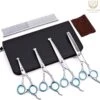 Professionele Hondenscharen Set - Extra Veilige Grooming Set - Trimscharen Voor Honden - Knipschaar - Effileerschaar / Uitdunschaar - Gebogen Schaar Met Ronde Punt - Precisieschaar - Hondenverzorging - Inclusief Kam, 2 Haarclips En Luxe Opbergdoos -Hondenproducten 1200x1154