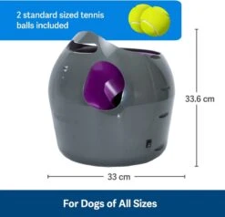PetSafe Automatische Ballenwerper - Dierenspeelgoed -Hondenproducten 1200x1154 5